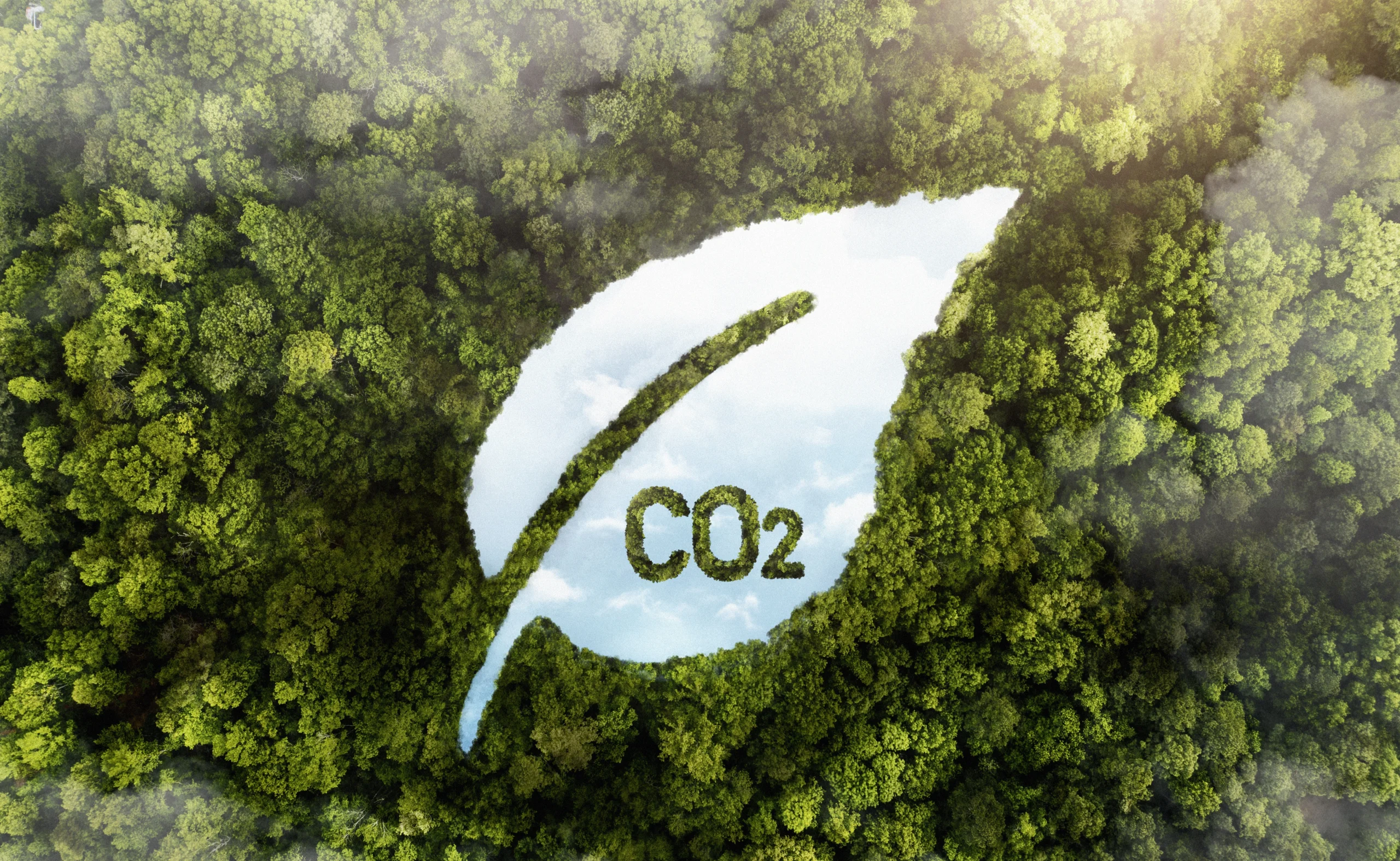 Comprehensive Guide: Carbon Pricing for Greenhouse Gas Emission Reduction