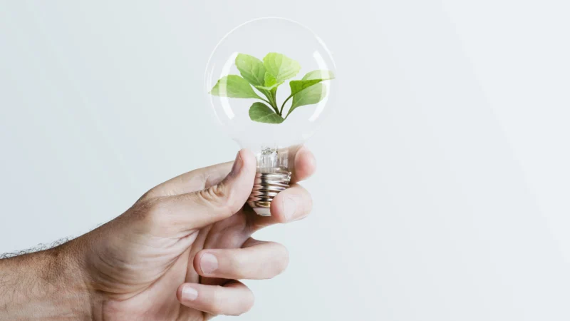 5 Easy Energy Conservation Practices to Save Money and Protect the Environment