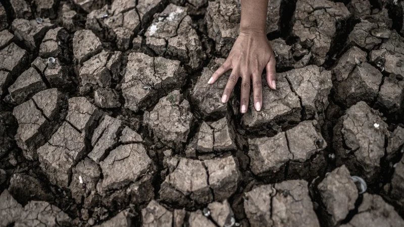 Climate Crisis Management: Embracing Cutting-Edge Mitigation Strategies