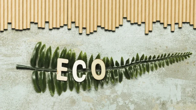 Fashion with a Conscience: Exploring Ethical & Eco-Friendly Trends