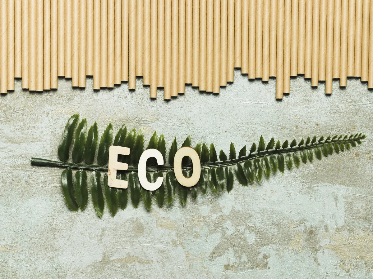 Fashion with a Conscience: Exploring Ethical & Eco-Friendly Trends