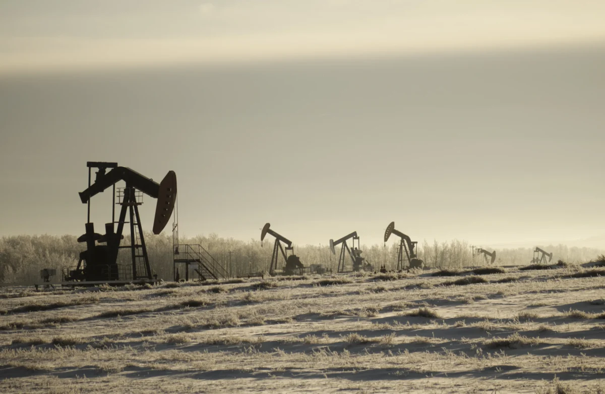 The Truth About Fossil Fuel Subsidies: How They Impact the Environment and the Economy