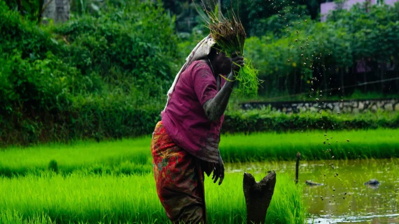 Empowering Women in Climate: Smart Agriculture for Resilient Livelihoods