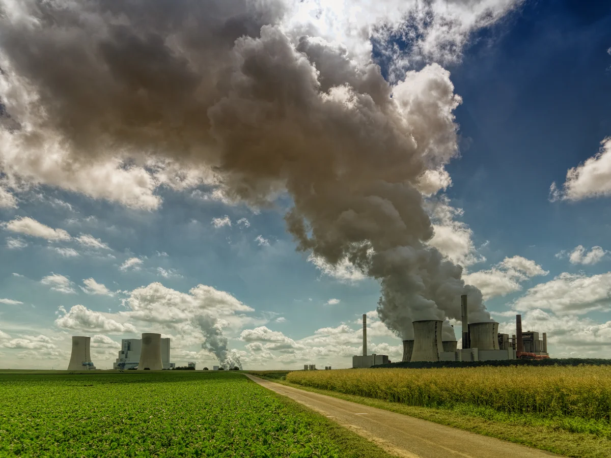 Reducing Carbon Emissions: The Path to Climate Mitigation