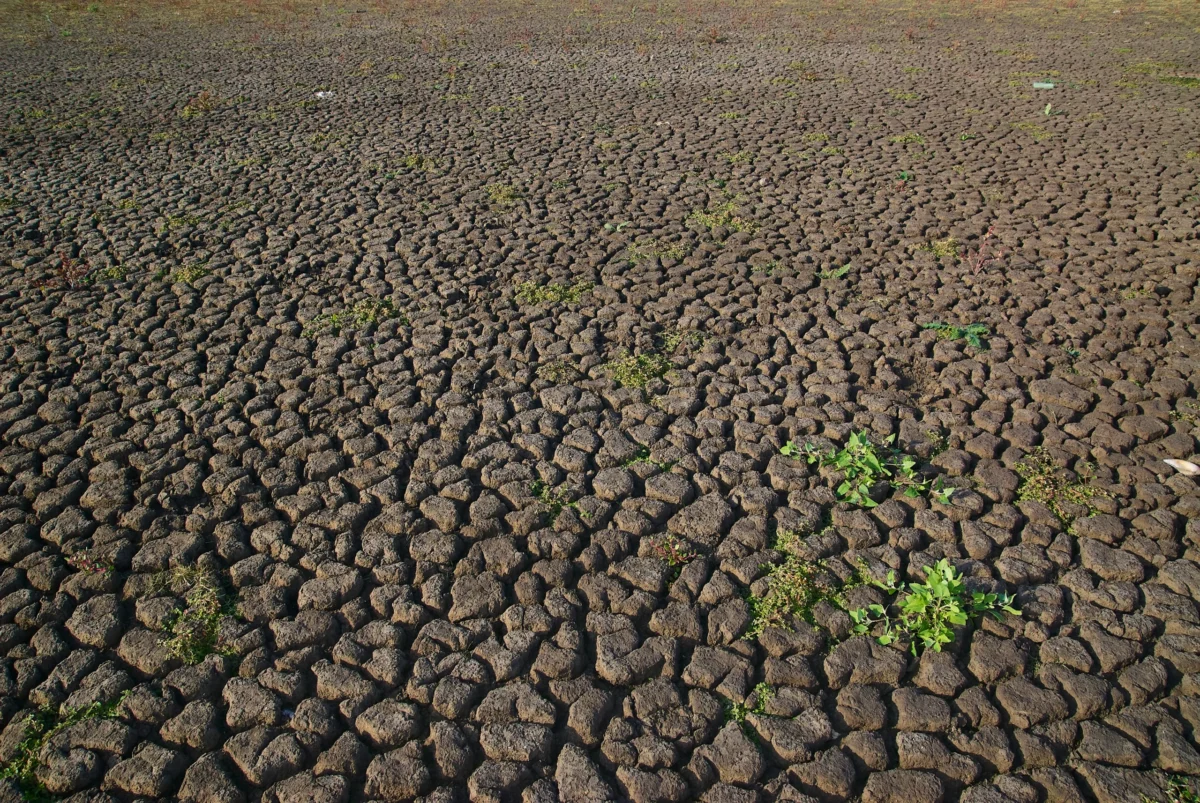 Exploring Drought and Aridification: Understanding the Key Differences