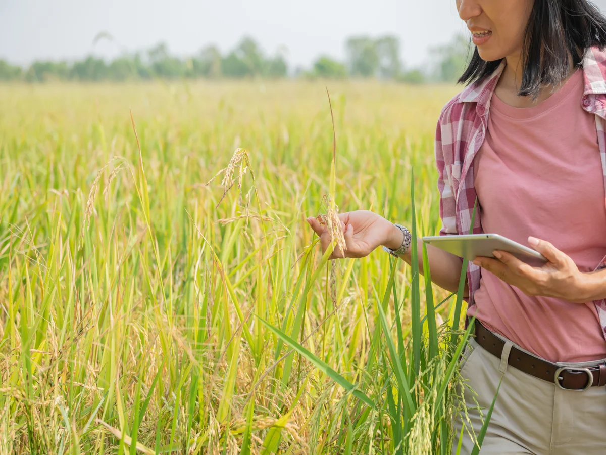 Future-Proofing Agriculture: The Power of Climate-Smart Crop Selection
