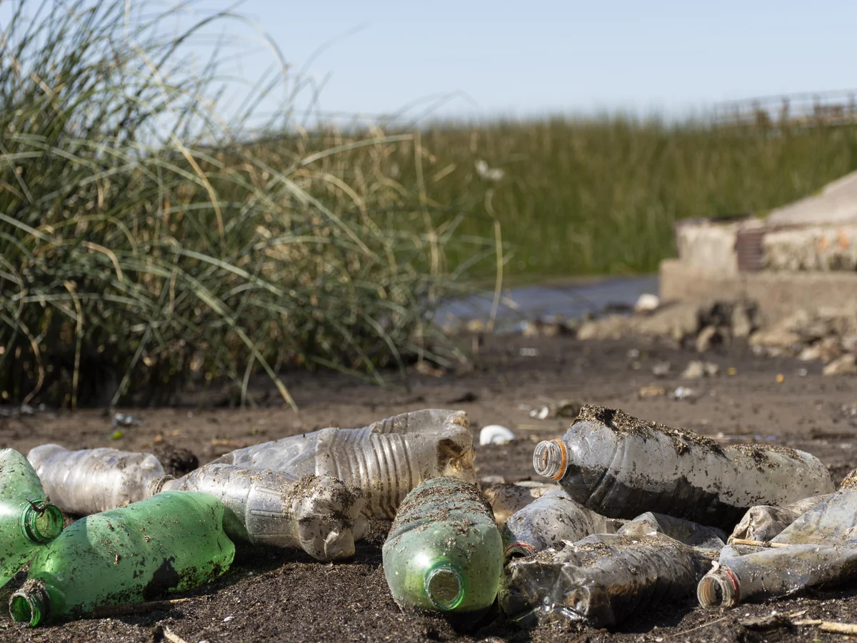 10 Harmful Effects of Plastic on the Environment