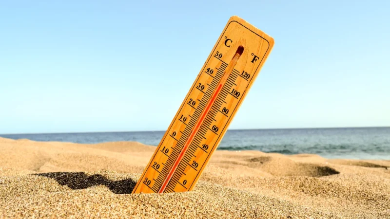 Understanding the Causes and Effects of Heatwaves