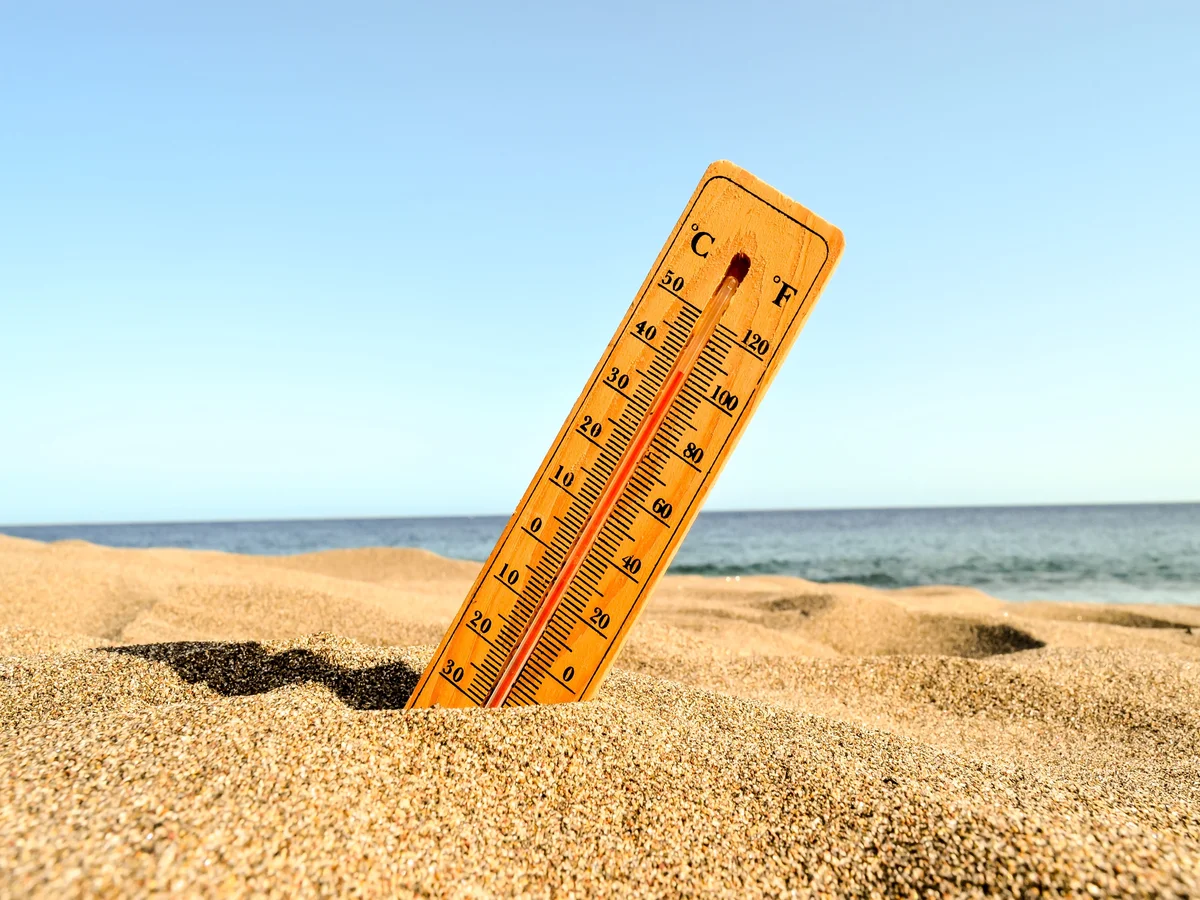 Understanding the Causes and Effects of Heatwaves