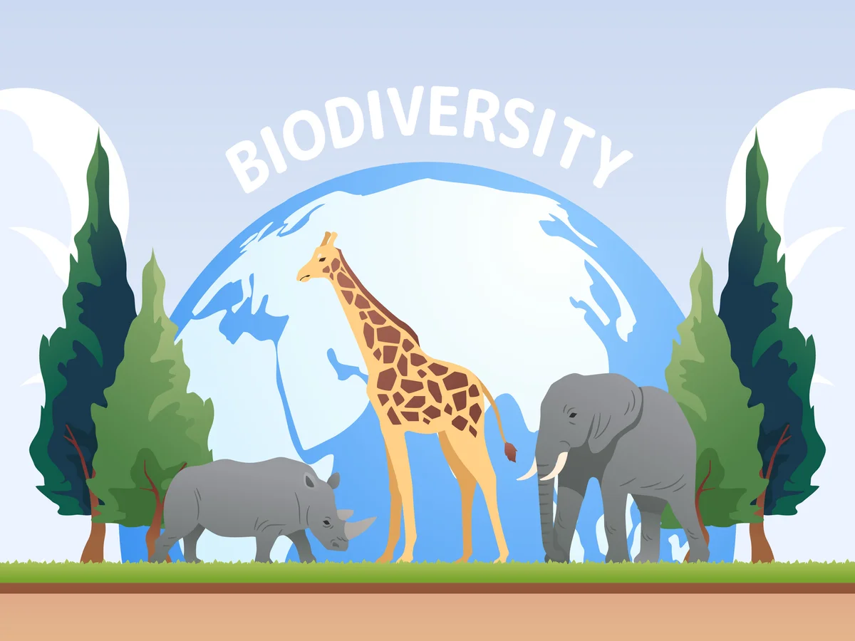 Understanding the Relationship between Biodiversity and Elephant Numbers