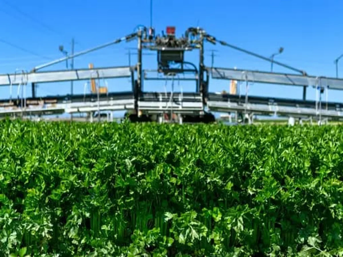 10 Critical Facts About Industrial Agriculture Everyone Should Know
