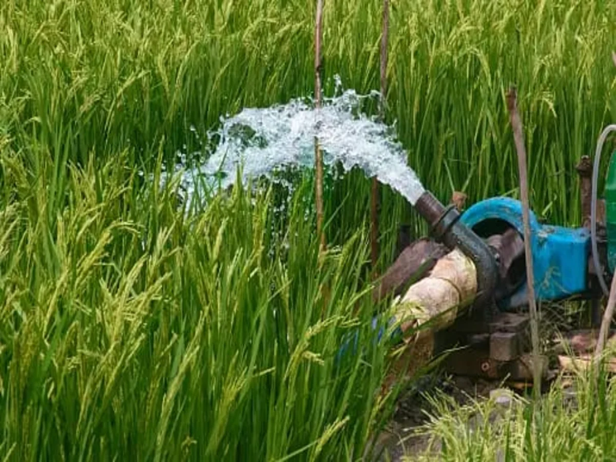 Water Efficiency in Agriculture: Irrigation vs. Rain-fed Farming