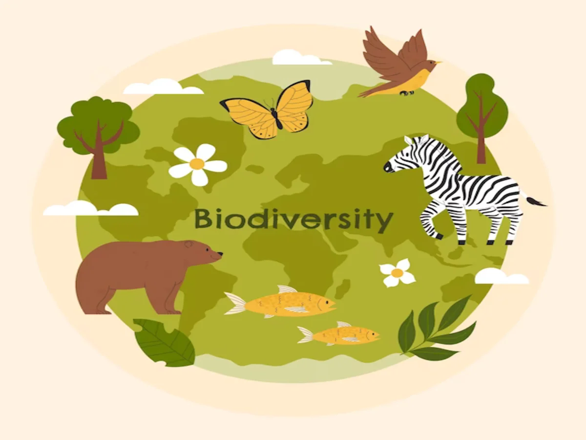 Biodiversity Protection: Balancing Human Activities and Ecosystem Health