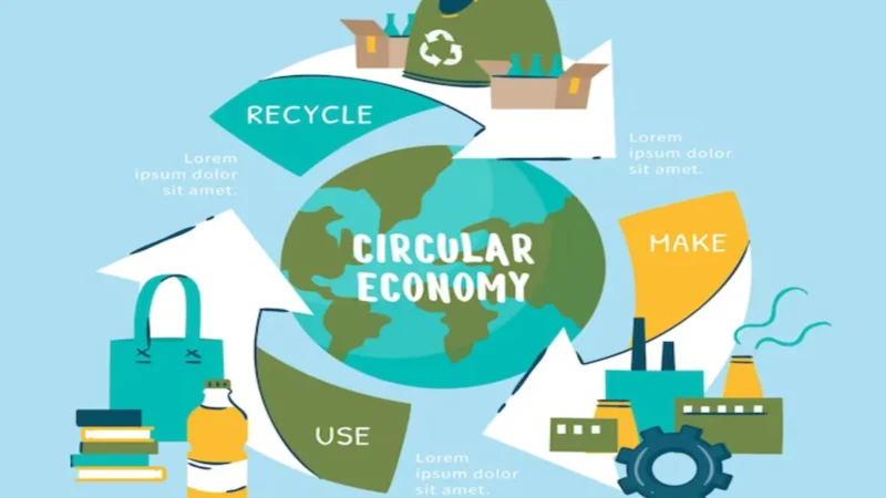 Circular Economy and Waste Reduction: Sustainability in Food Production