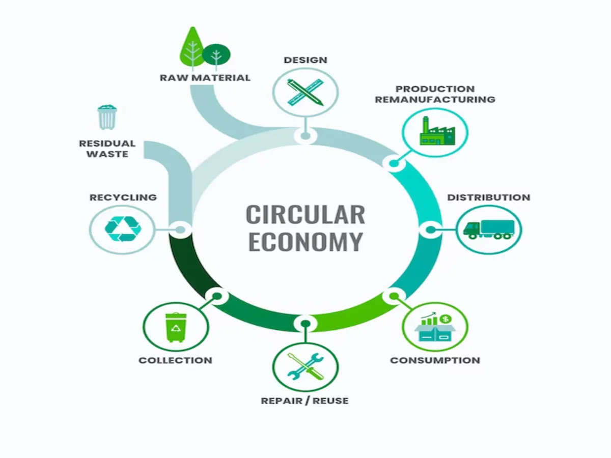 Circular Economy vs. Linear Economy: Environmental Impacts and Benefits