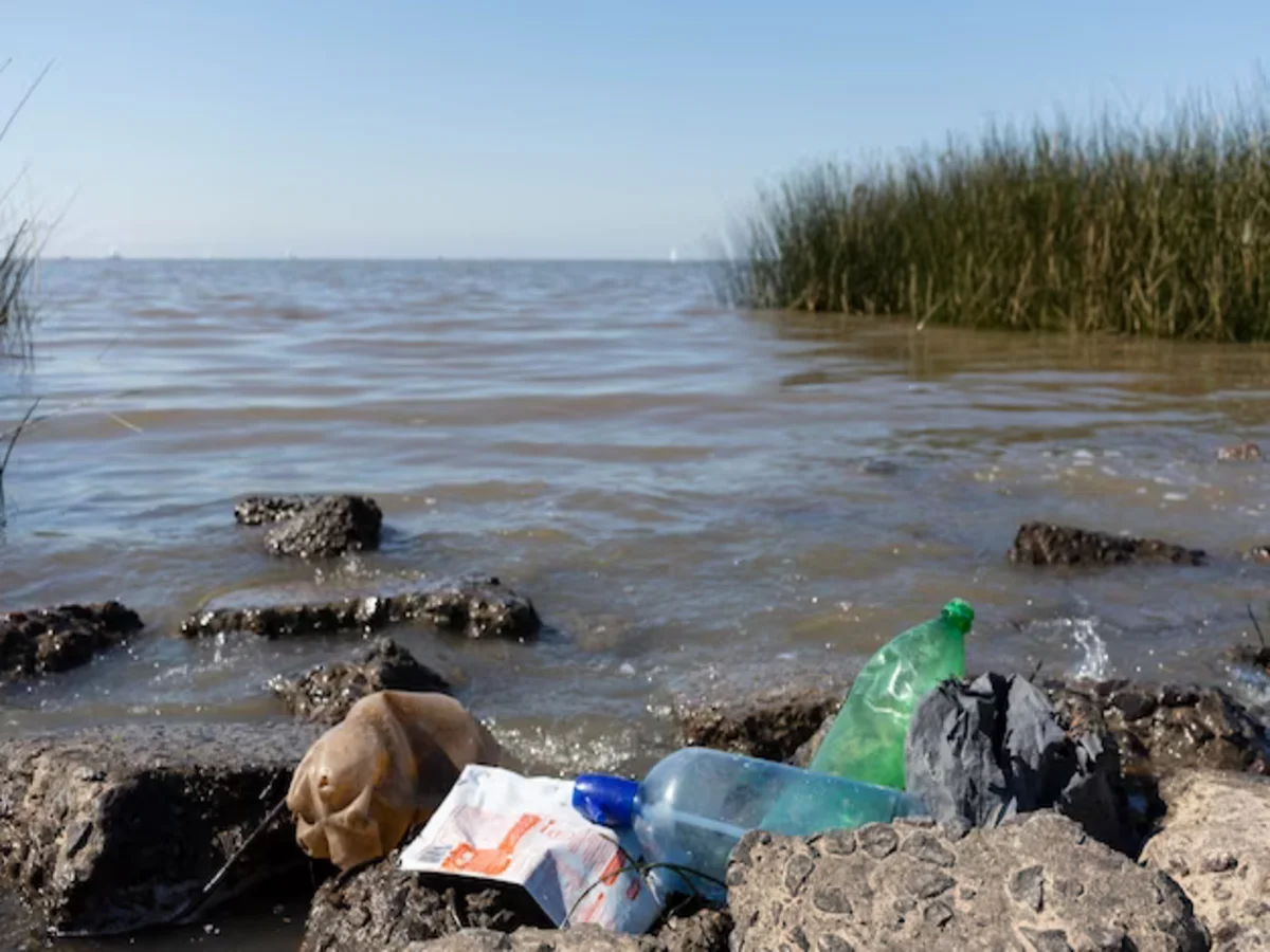 Plastic Pollution: Plastic Pollution Raises Flood Risk for World’s Poorest Communities