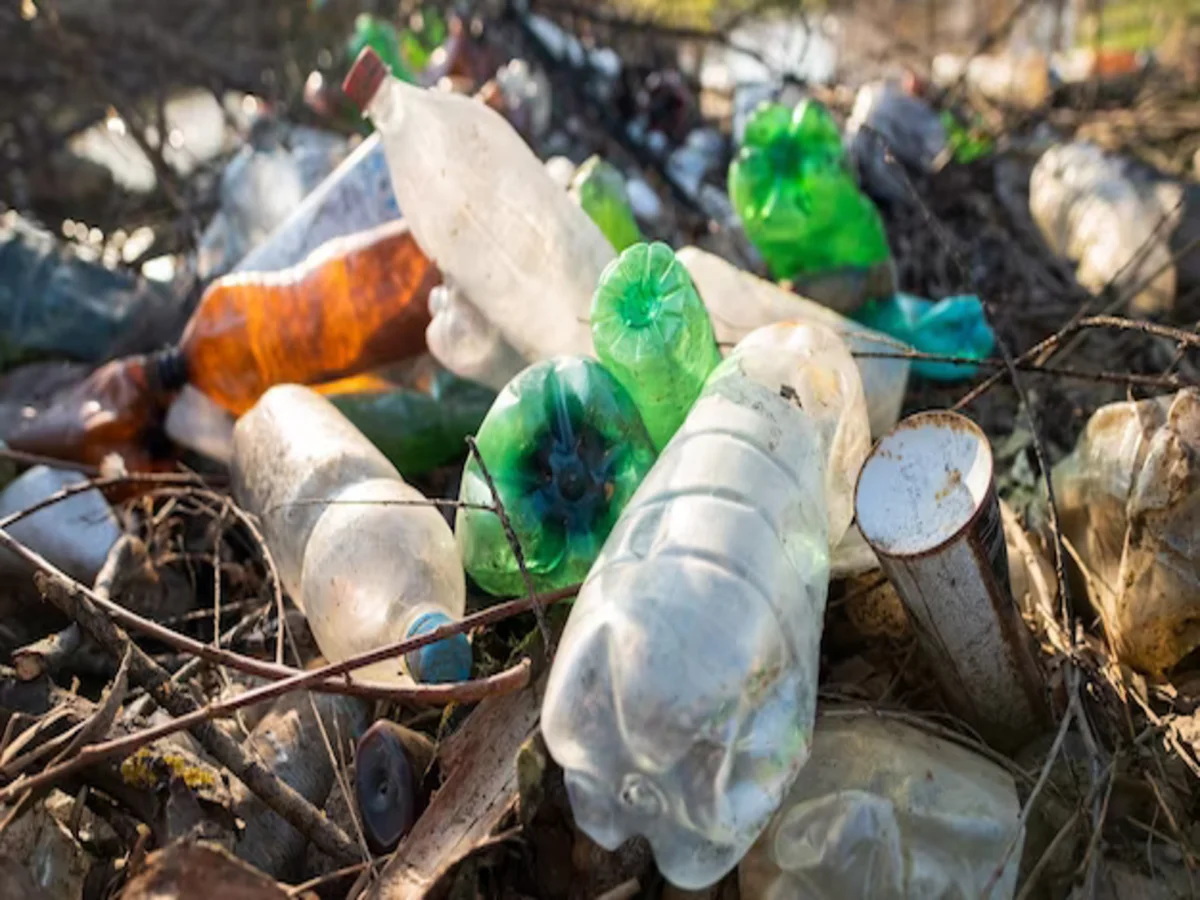 Plastic Waste: Where Does Your Plastic Recycling Actually Go?