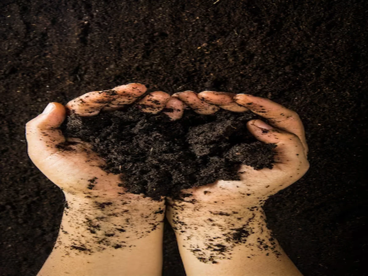 Soil to Society: How Pollution Today Shapes Our Future