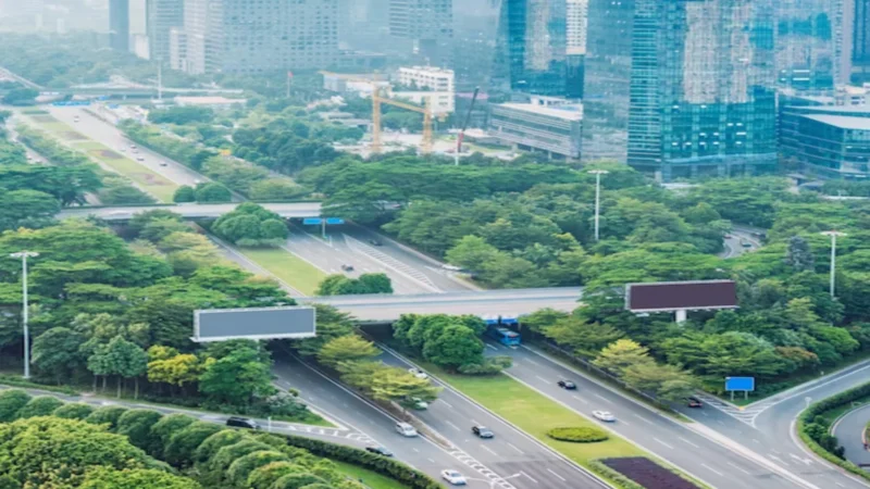 Urbanization and Mobility: Building a Sustainable Future for City Transport