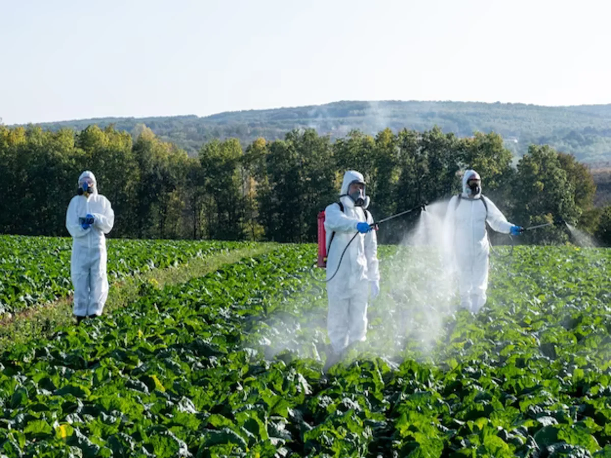 Environmental Effects of Pesticide Use: What You Need to Know