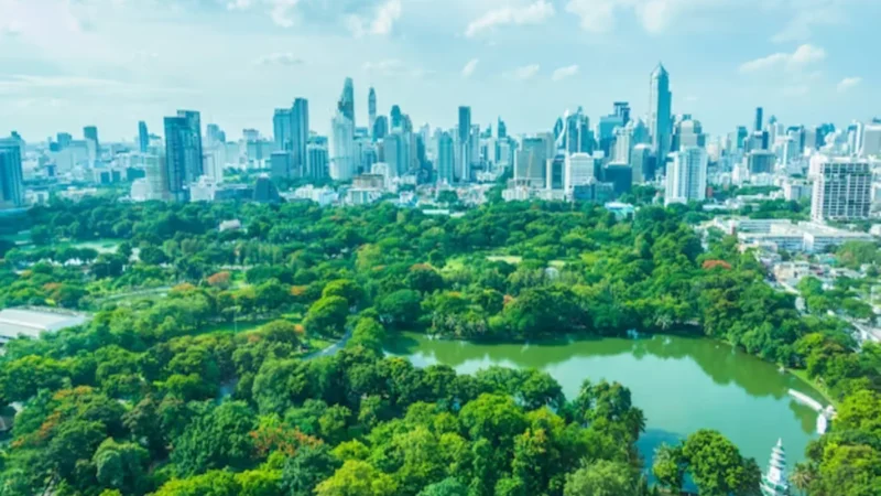 Biodiversity: Benefits of Urban Biodiversity for Human Health and Well-Being