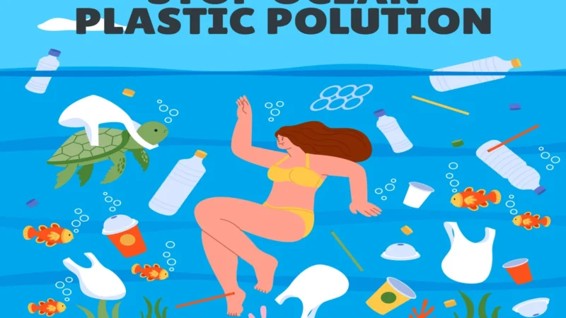 Defeating the Plastic Tide in ASEAN for Sustainable Growth: Plastic-Free Progress