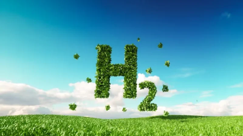 Green Hydrogen: A Renewable and Sustainable Solution for Decarbonisation