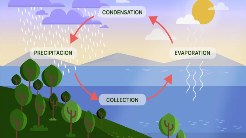 How Water Vapor Amplifies Climate Change? A Rising Threat