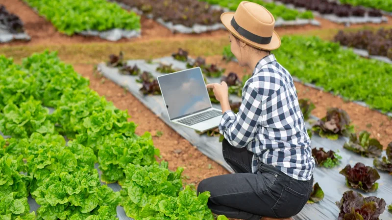 How can computer science help farmers grow food more sustainably?