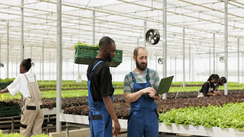 How Is Agritech Helping To Optimize The Farming Sector?