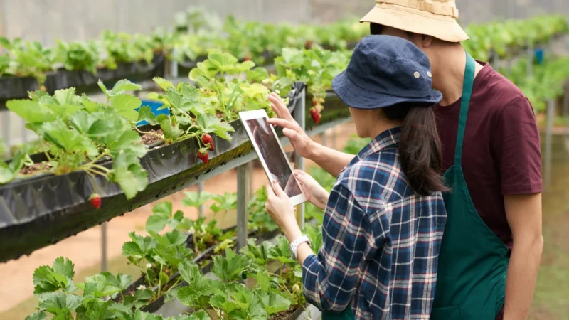 The Role of Technology In Helping To Solve Agriculture’s Biggest Issues